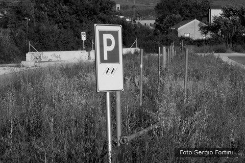 PARCHEGGIO SELVATICO