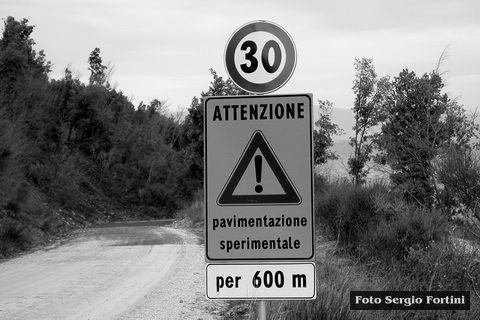 im200806r.jpg