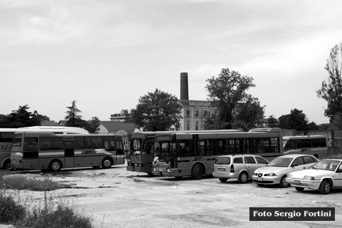 im200828r.jpg